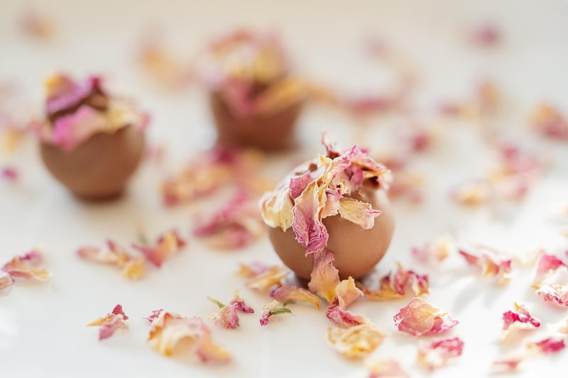 Premium Entertainment